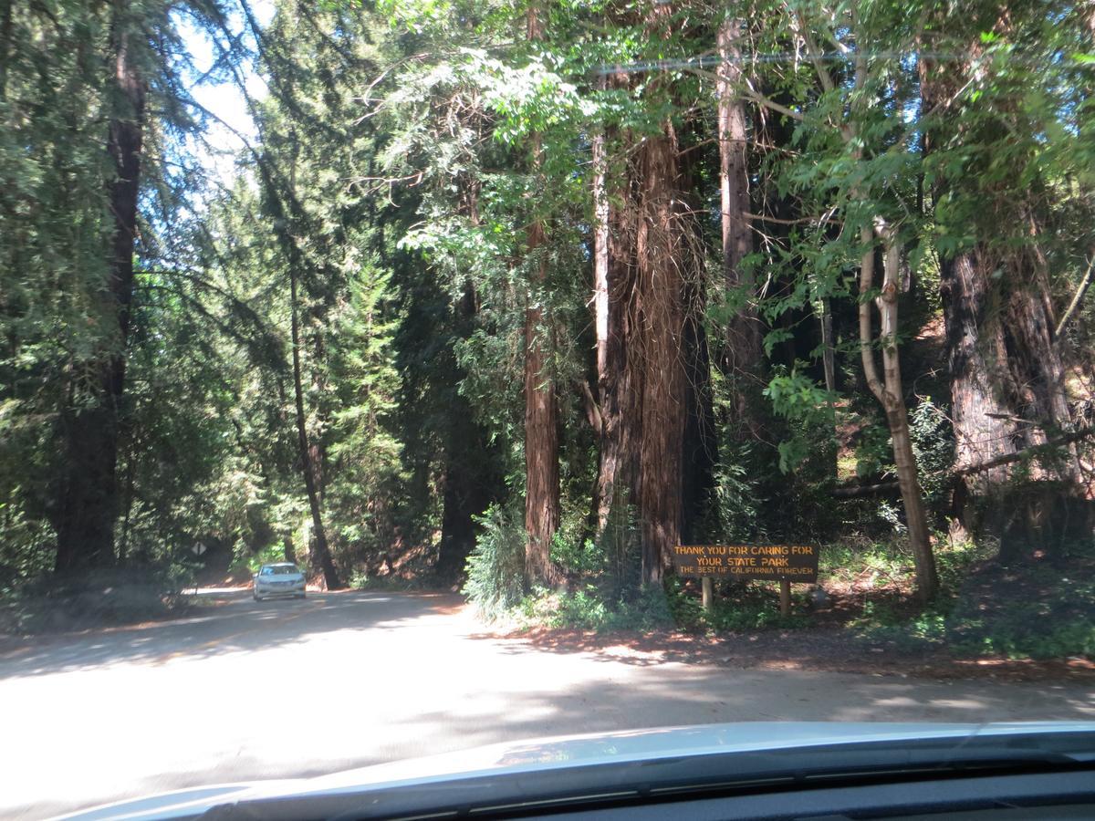 Big Sur Lodge Екстер'єр фото